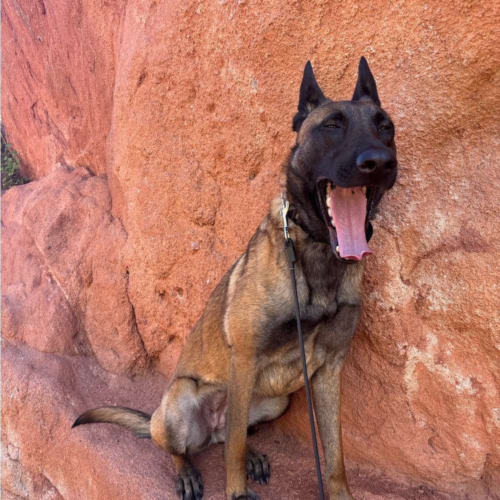 Meet your Posher, Jenna